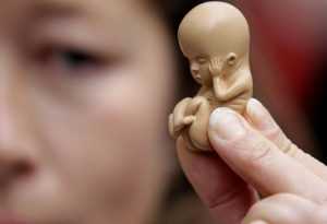Можно ли делать аборт при миоме матки