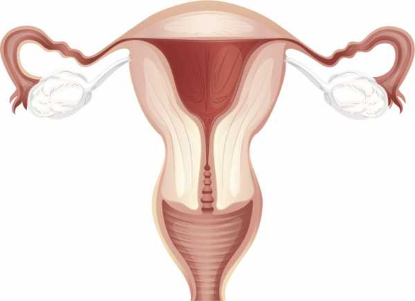 Питание при эндометриозе матки