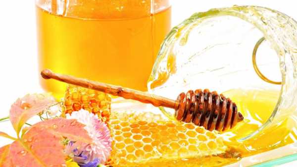 Капустный лист с медом при мастопатии